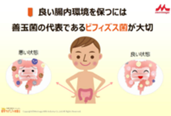 森永乳業株式会社